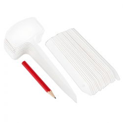 Taimesildid, taldrikud - 30-osaline segu + pliiats - 