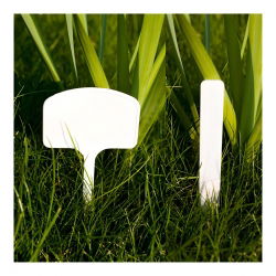 Taimesildid, taldrikud - 30-osaline segu + pliiats - 