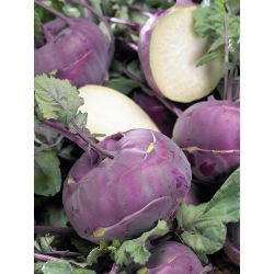 Koleraba "Blankyt" - ljubičasta, iznimno čvrsta sorta - 260 sjemenki - Brassica oleracea var. Gongylodes L. - sjemenke