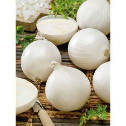 Cipolla - Avalon - Bianco succoso, perfetto per lunga conservazione - Semi Freschi