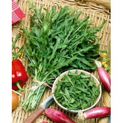 BIO Rughetta selvatica SylvettaDiplotaxis tenuifolia - Varietà perenne con foglie profondamente seghettate e piccanti - Semi Freschi