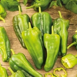 Paprika pálivá - Padron - Nejostřejší, kouřová příchuť - Čerstvá semena