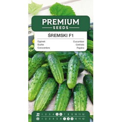 Огурец посевно́й - Sremski F1 - Cucumis sativus