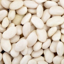 Judía enana - Igolomska - para grano seco - 500 g - Semillas