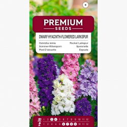Semințe mixte de rachetă Larkspur - Delphinium ajacis hyacinthiflorum fl. pl. - 500 de semințe