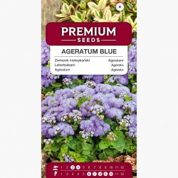 Flossflower, bluemink, blueweed, котенце, мексиканска четка - синя разновидност - 3750 семена - Ageratum houstonianum