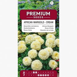 Marigold Mexico berkulit putih - pelbagai tumbuh yang rendah, sehingga 35 cm; Aztec marigold - 150 biji - Tagetes erecta  - benih