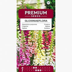 Foxglove "Gloxiniaeflora" - amestec de varietăți; foxglove comune, foxglove purpuriu, mănușă doamnă - 9000 de semințe - Digitalis purpurea