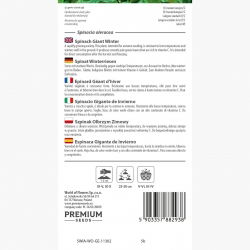 Spinach - Olbrzym Zimowy - Hardy Spinach, Cold-Resistant Green Leaves - Fresh Seeds