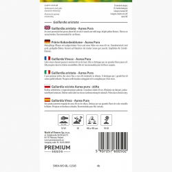 Gaillardia, Trobojnica - Aurea Pura - rumena - Gaillardia aristata - Čist zlati sijaj - Sveža semena