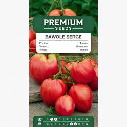 Gardeners Basics, Semillas De Apio Para Plantar, Variedad UT