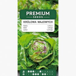 Alface manteiga - May Queen - 1050 sementes - Lactuca sativa L. var. Capitata