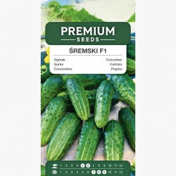 Pepino - Sremski F1 - Cucumis sativus