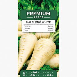 Cherovia - Halflong White - 1450 sementes - Pastinaca sativa