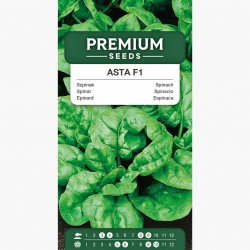 野菜の種　仮 キリン 無添加野菜 48種の濃い野菜100％ 1000ml 紙（ゲーブル