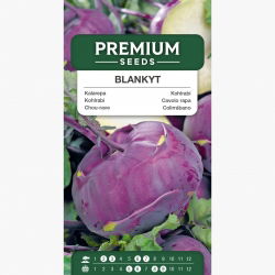 Cavolo Rapa Bianco Quickstar F1 - Foto 7