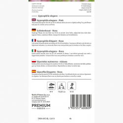 Sommer Schleierkraut, Gemeiner Gipskraut - rosa