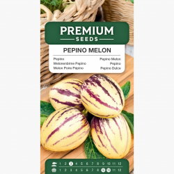 矮性のザクロの種 - Punica granatum var。ナナ - 27種 - シーズ