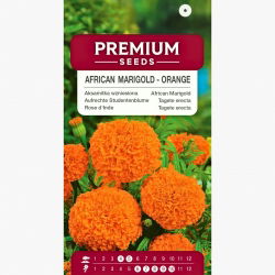 マリーゴールドファンタスティックシード - マンジュギク - 90種子