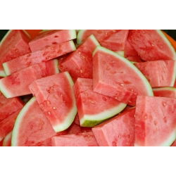 Melancia - Rosario - 11 sementes - Citrullus lanatus