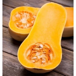 Tykev muškátová - Butternut - Ideální na pečení, do polévek a omáček - Čerstvá semena