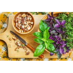Basil, Thái trộn hạt húng quế - Ocimum basilicum - 325 hạt