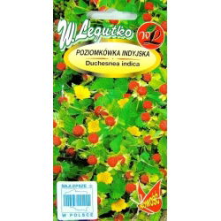 Mock jordgubbe, indiska jordgubbar frön - Duchesnea indica - 250 frön - Potentilla indica