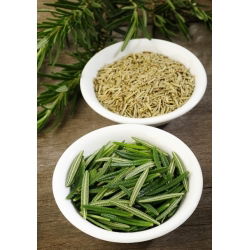 Семе ружмарина - Росмаринус оффициналис - 80 семена - Rosmarinus officinalis