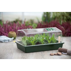 Mini-estufa interna grande ventilada - cultivo de plantas em casa - verde - 