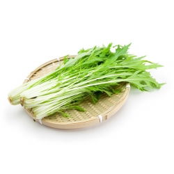 Мизуна, японски синапени зърна - Brassica rapa nipposinica - 1000 семена - Brassica rapa var. Japonica