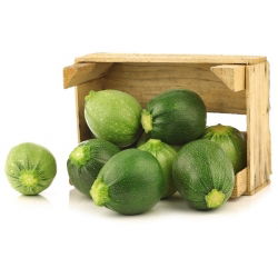 Кабачок с круглыми плодами - Tondo chiaro di Nizza - 27 семена - Cucurbita pepo