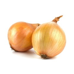 Cipolla - Wolska - Cipolle a raccolta tardiva, perfette per conservazione - Semi Freschi