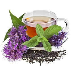 Monarda - 180 semillas