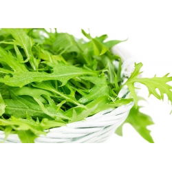Мизуна, японски синапени зърна - Brassica rapa nipposinica - 1000 семена - Brassica rapa var. Japonica