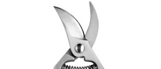 Professional pruner with a sheath - Profi-Plus RT53/185S