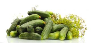 Cucumber - Krak F1 - Pelleted Seeds - Crisp Texture, Sweetly Refreshing