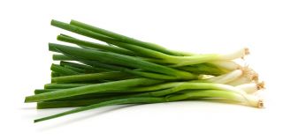 Sedmogodišnji luk "Wita" - čak 4 godine na jednom mjestu! - 500 sjemenki - Allium fistulosum  - sjemenke