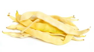 Fagiolo rampicante - Goldmarie - Crescita vigorosa, baccelli gialli lunghi e teneri - Semi Freschi