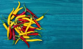 Home Garden - Mix di peperoncini piccanti - per coltivazioni indoor e balconate - Capsicum annum - semi