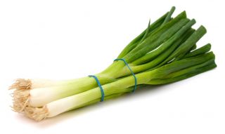 Sedmogodišnji luk "Wita" - čak 4 godine na jednom mjestu! - 500 sjemenki - Allium fistulosum  - sjemenke