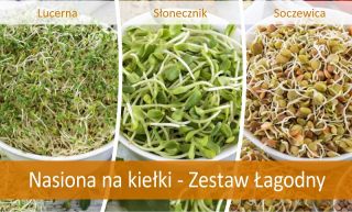 Sprouting seeds - Mild mix