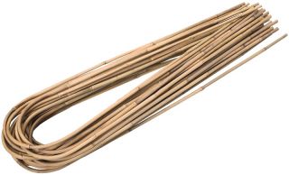 Suport pentru plante de bambus îndoit - 8-10 mm / 45 cm - 