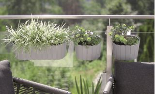 "Boardee Hook" hanging plant box - 38.3 cm - stone-grey