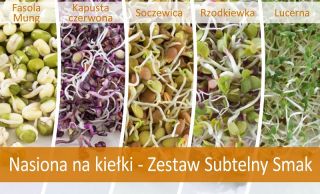 Sprouting seeds - Subtle Taste Selection