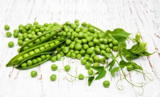 Kacang ladang "Cud Kelvedonu (Keajaiban Kelvedon)" - 500 g - 