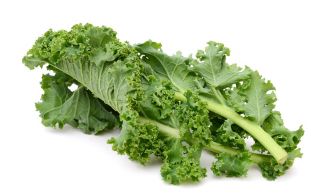 Kale "Vitessa" - pale green, medium tall - 600 seeds