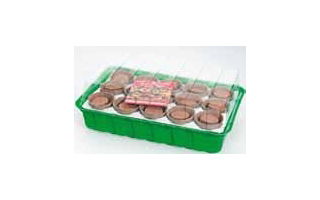 Indoor minikas 36x22x13 met GRATIS CADEAU - 