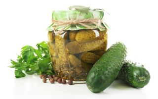 Cucumber "Basza" - pickling variety - 175 seeds