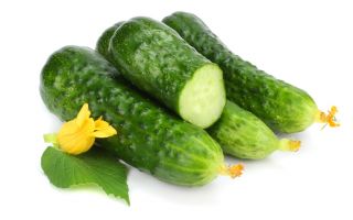 Cetriolo - Dalila F1 - 200 semi - Cucumis sativus
