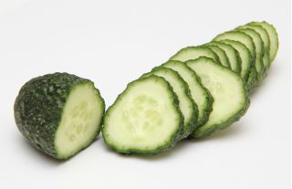 Castravete "Junak" - 105 semințe - Cucumis sativus